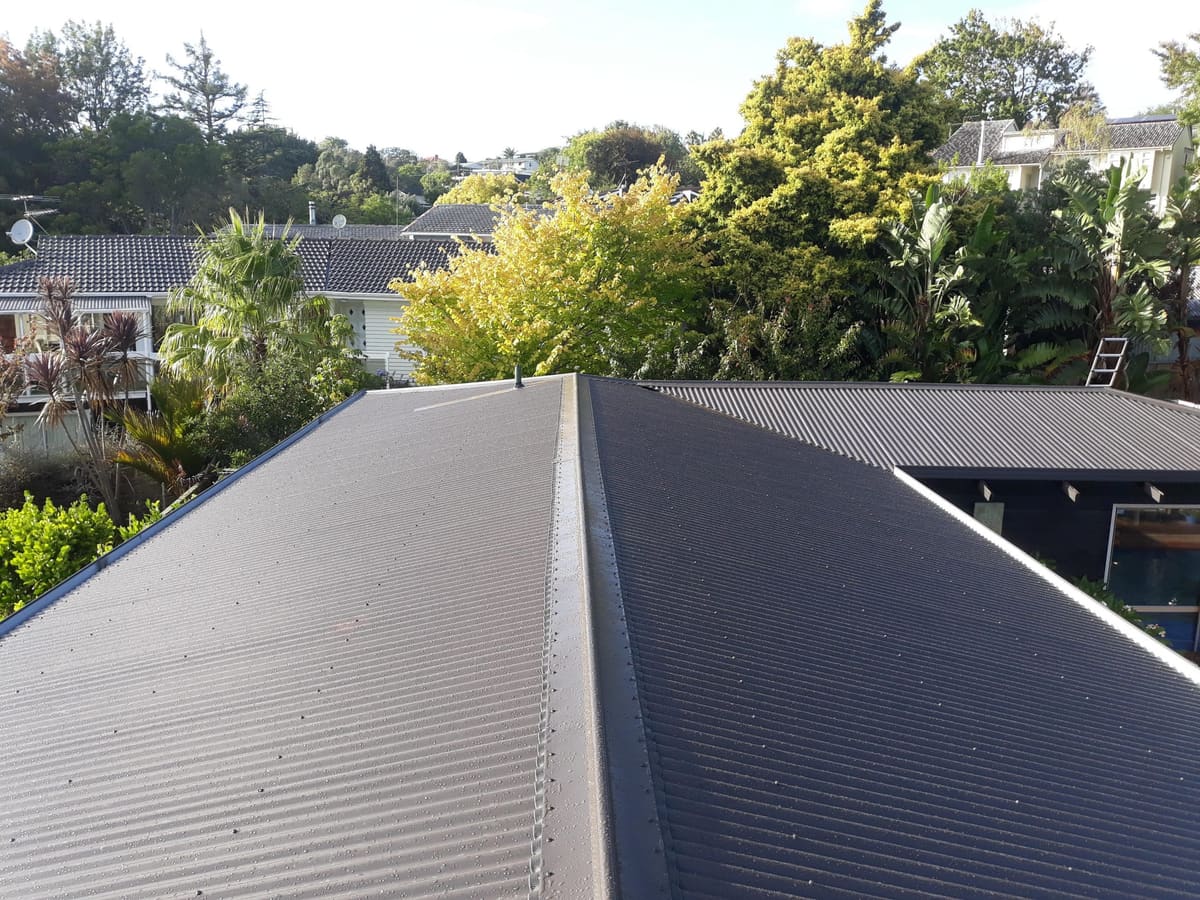 New Colorsteel roof in Meadowbank