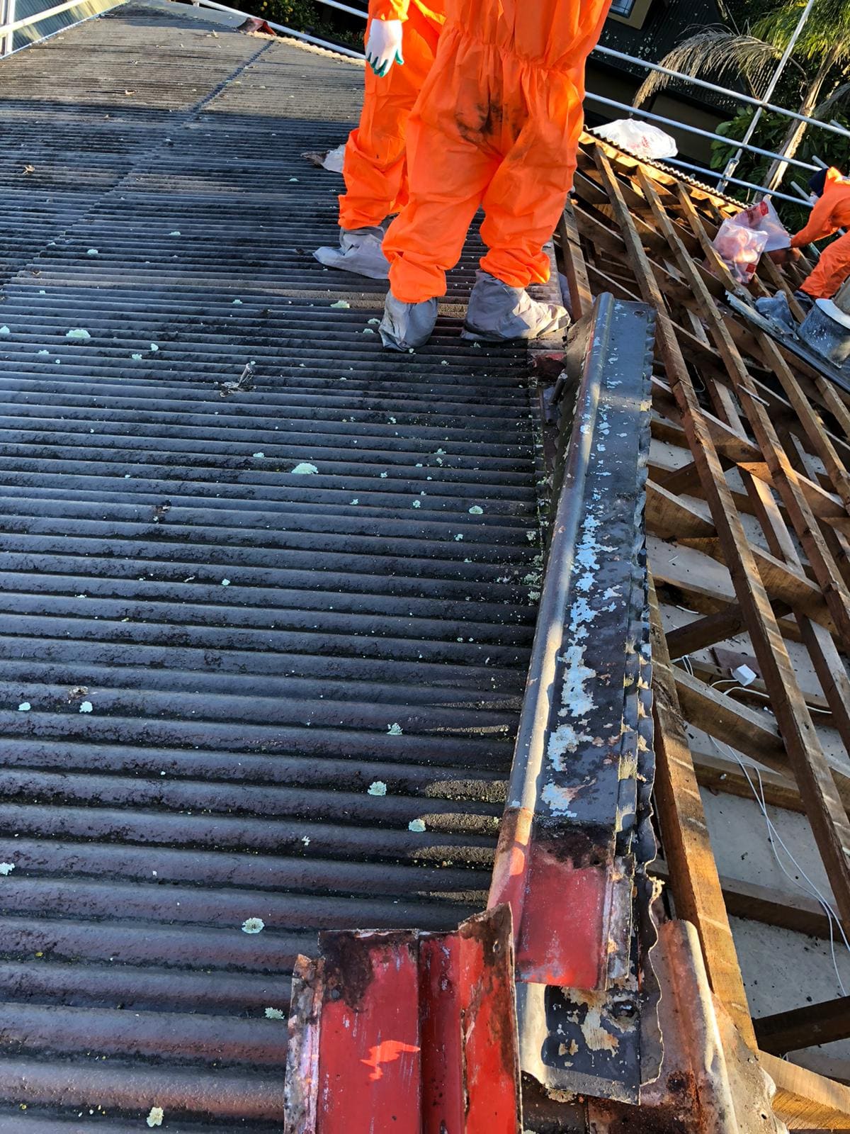 Ridge section removed during asbestos roof removal