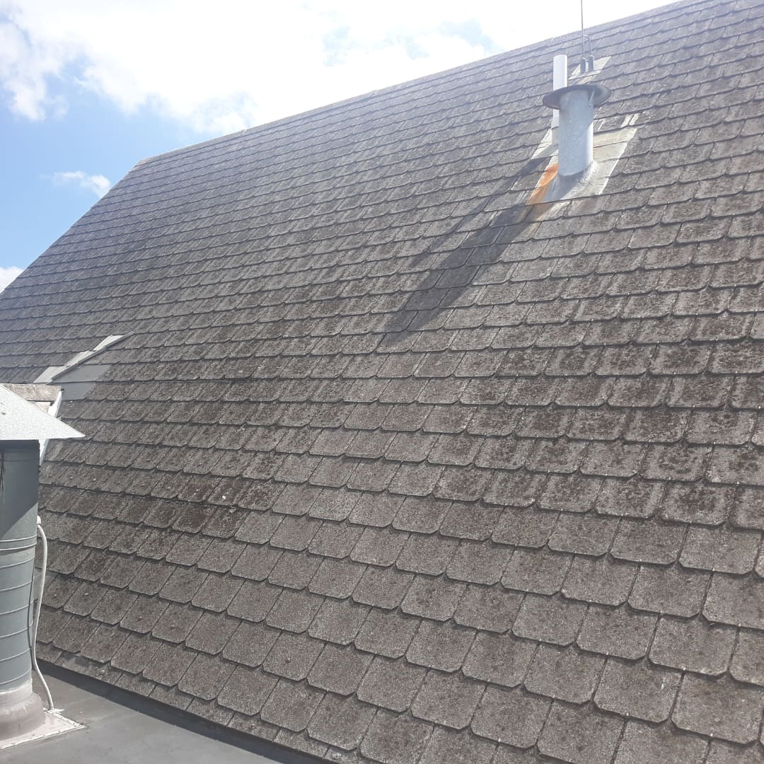 Fibre-cement asbestos shingle roof